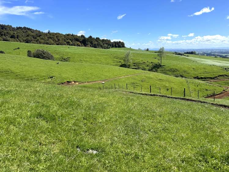 3/585 O'Shea Road Pirongia_9