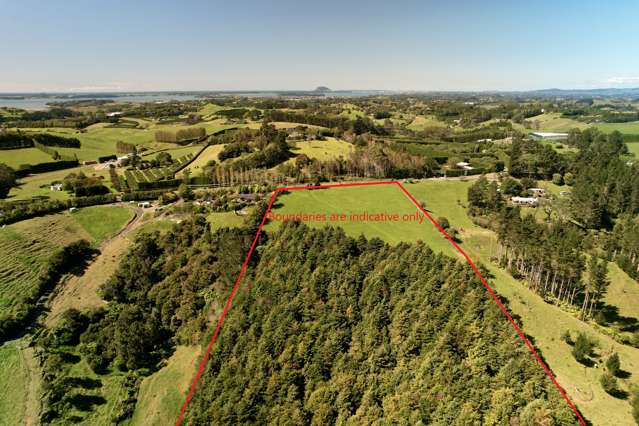 244 Wainui South Road Whakamarama_2