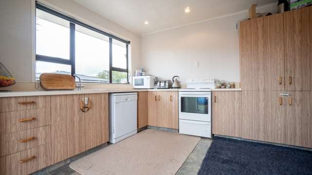 12 Roy Street Palmerston North Central_1