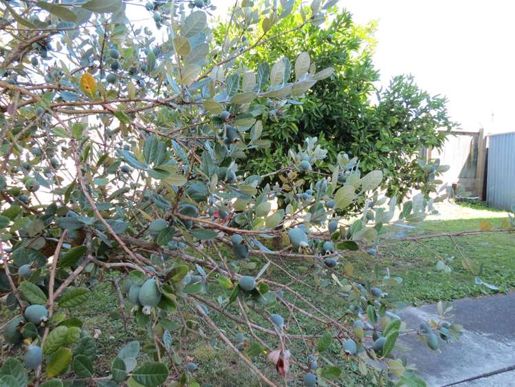 1/58a William Street Richmond_16