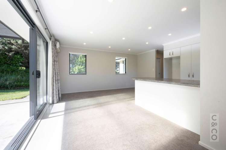 208B Glenmore Road Coatesville_20