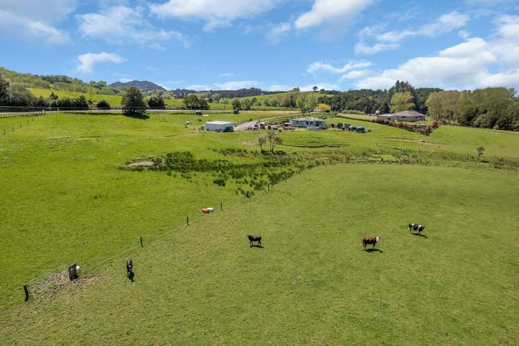 80 Lovell Road Ruatangata West_37