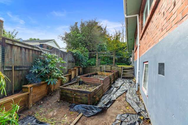 44 Collingwood Street Judea_4