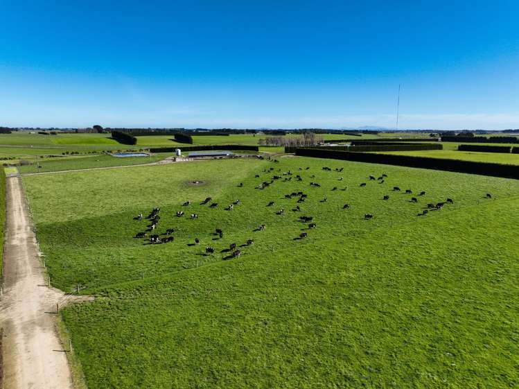 793 Edendale Woodlands Highway Winton Surrounds_21