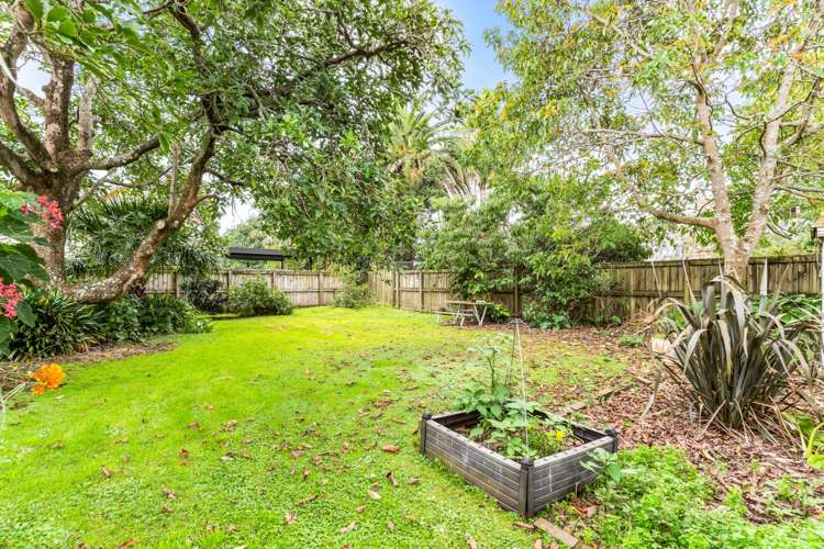 91 Pah Road Royal Oak_6