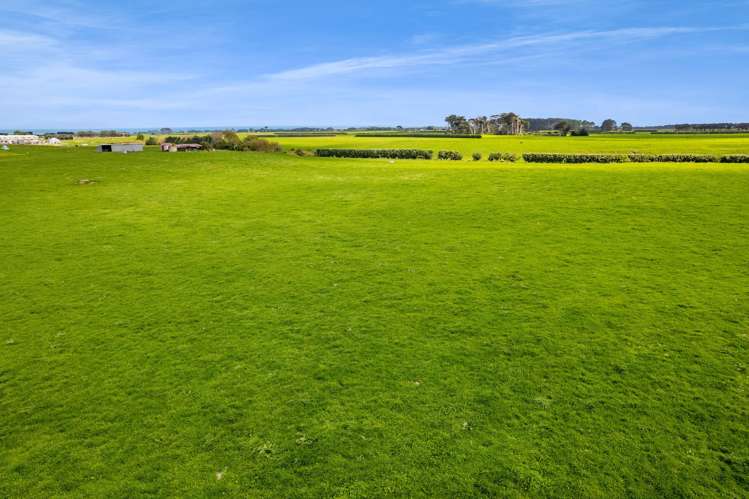 577 Patiki Road Pihama_8