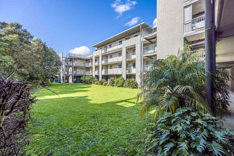 Gg/11 Morning Star Place Mount Albert_13