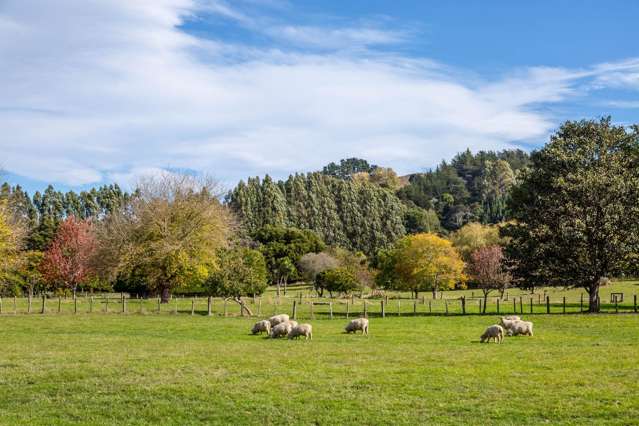 1839D Longbush Road Gladstone_4