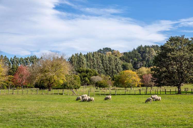 1839D Longbush Road Gladstone_10