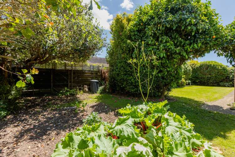 43a Hibiscus Avenue Mount Maunganui_3
