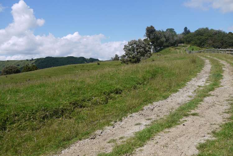 121 Guy Road Kaipara Flats_23