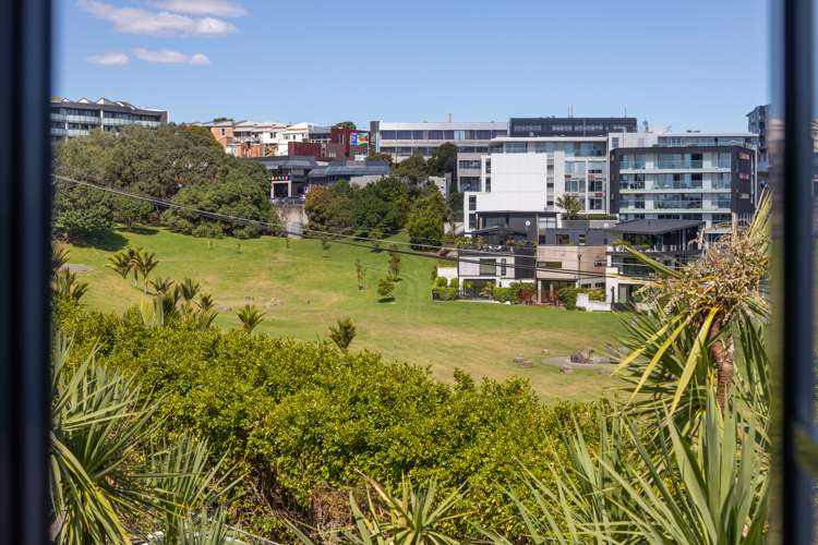 4b Macaulay Street Eden Terrace_6