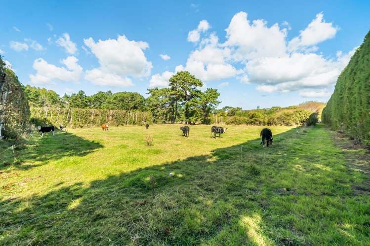 417c Grays Road Pauatahanui_47