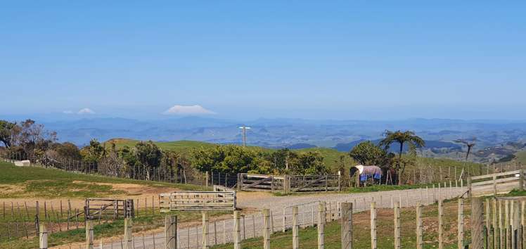 291 Mahoe Road Waitomo_8