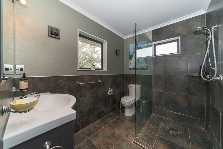 44a Alfred Street Roslyn_17