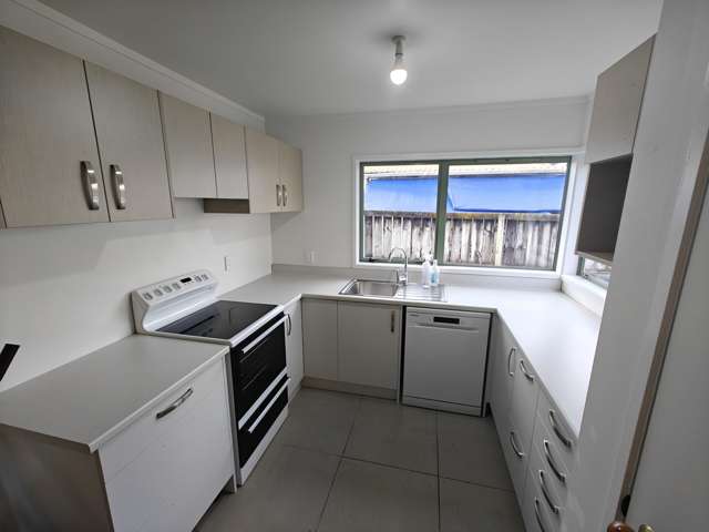 44a Abbotsford Street Whitiora_1