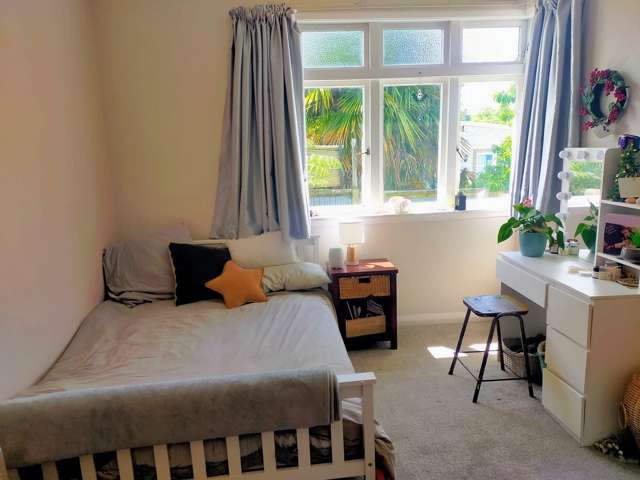 88 Montrose Road Waihi_3