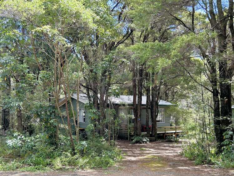 56 Totara Avenue Collingwood_22