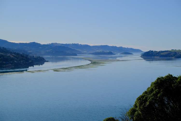 45 Irvine Road The Cove_7