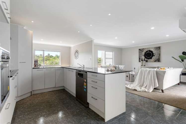 7 Savona Drive Flat Bush_4