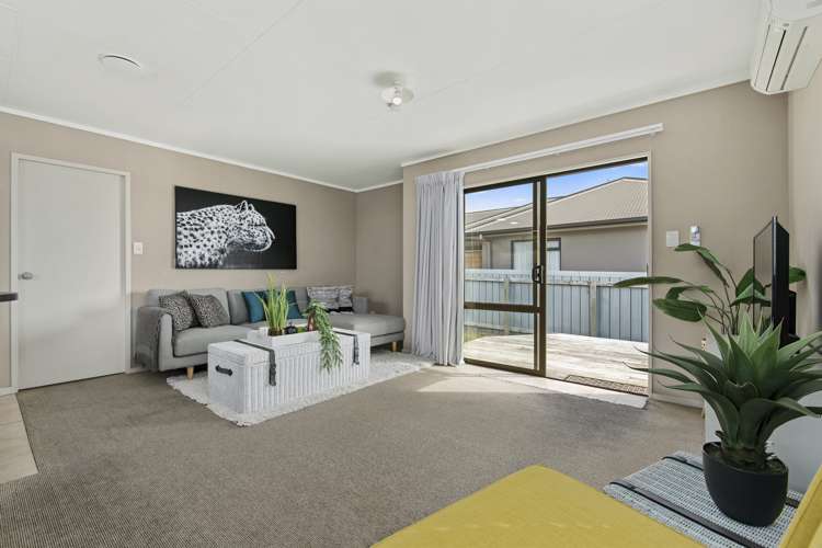 465b Ngatai Road Bellevue_4