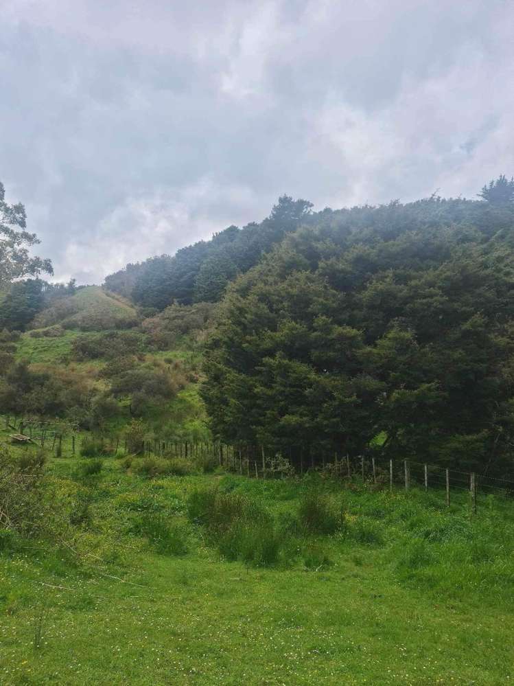 308 Monowai Road Wainui_12