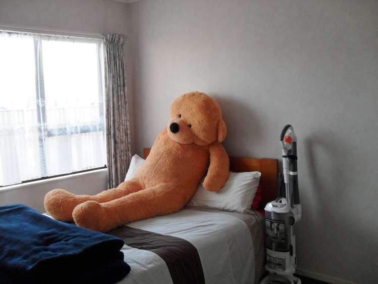 1/52 Songer Street Stoke_9