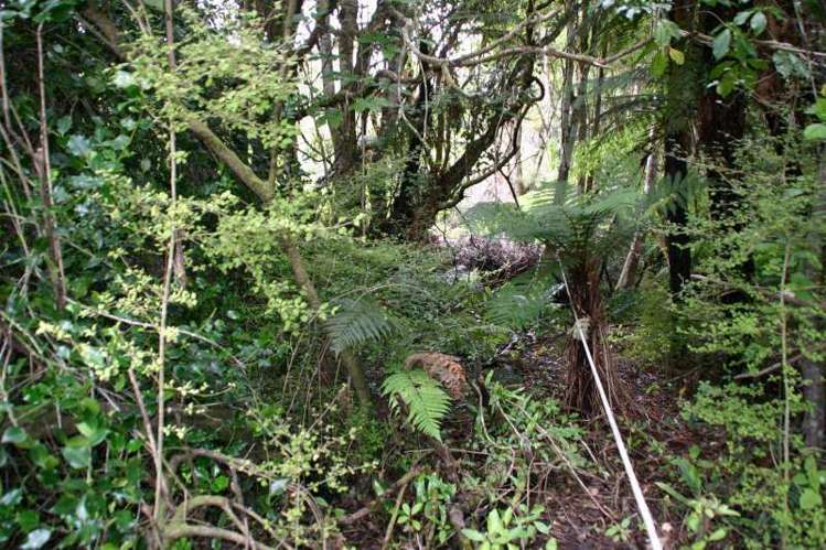 38 Wohlers Road Stewart Island/Rakiura_7