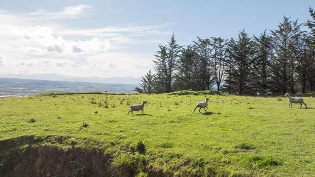 14 Hillplough Heights Richmond_1