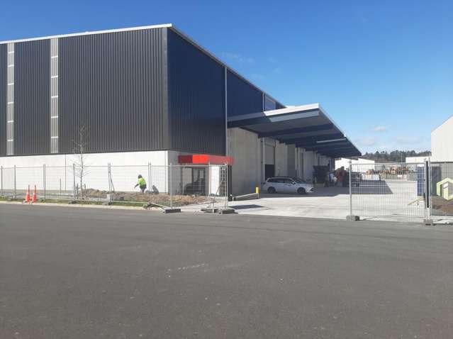 41 Kiriwehi Street Tauriko_4