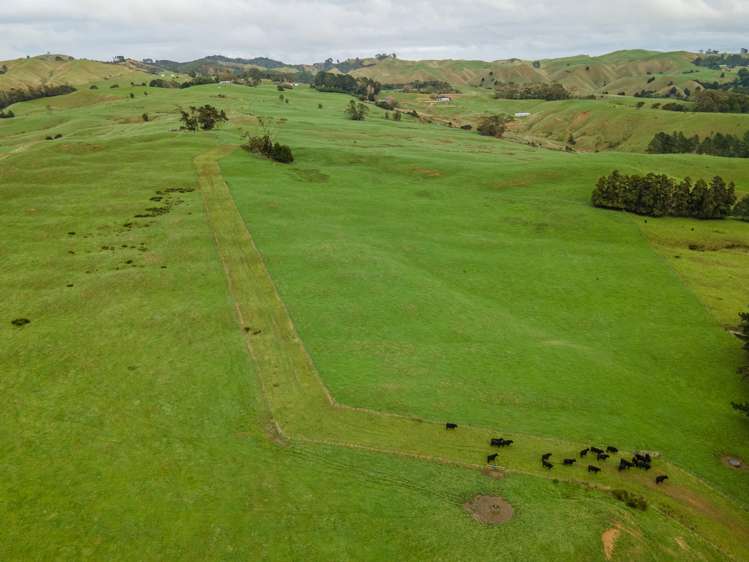 401 Waikaretu Valley Road Glen Murray_2