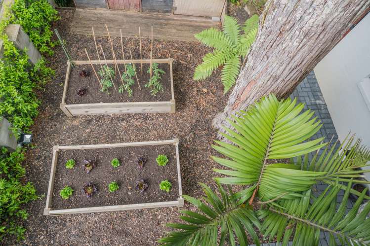 80b Queenstown Road Onehunga_18