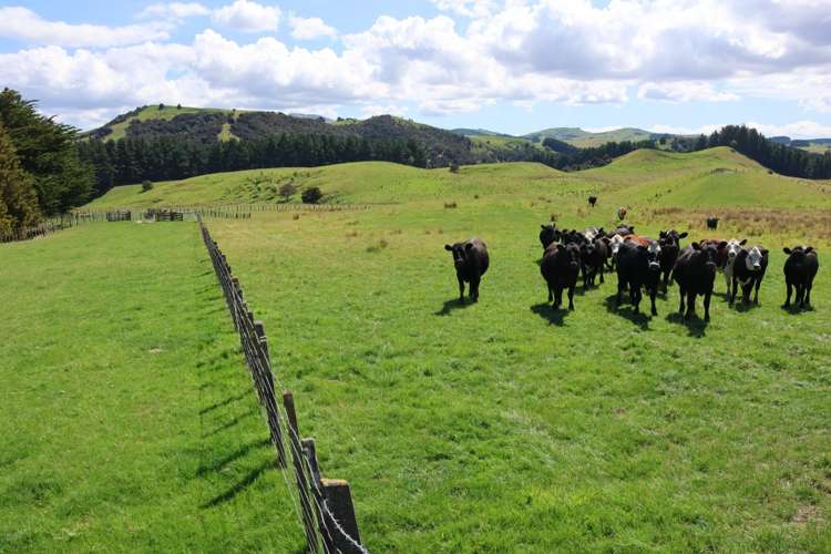 98 Millstream Road_1