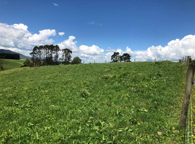 1564 State Highway 31 Kawhia Road Otorohanga_5