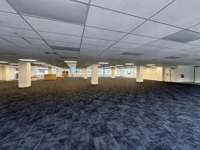 650 Great South Road Greenlane_3