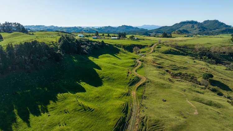 744 Woodlands Road Waihi_11