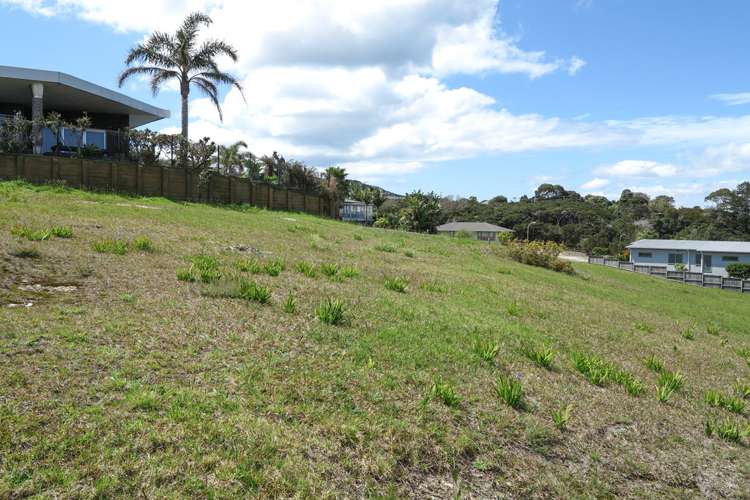 86 Bay Heights Drive Karikari Peninsula_5