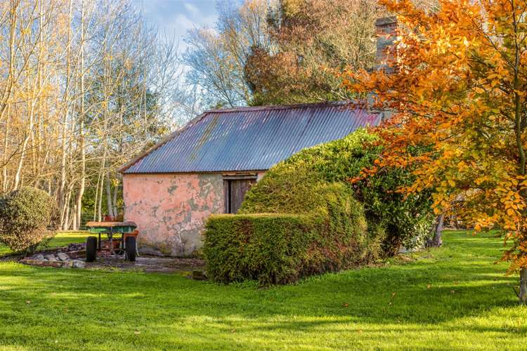 49 Fawcetts Road Ashley_26