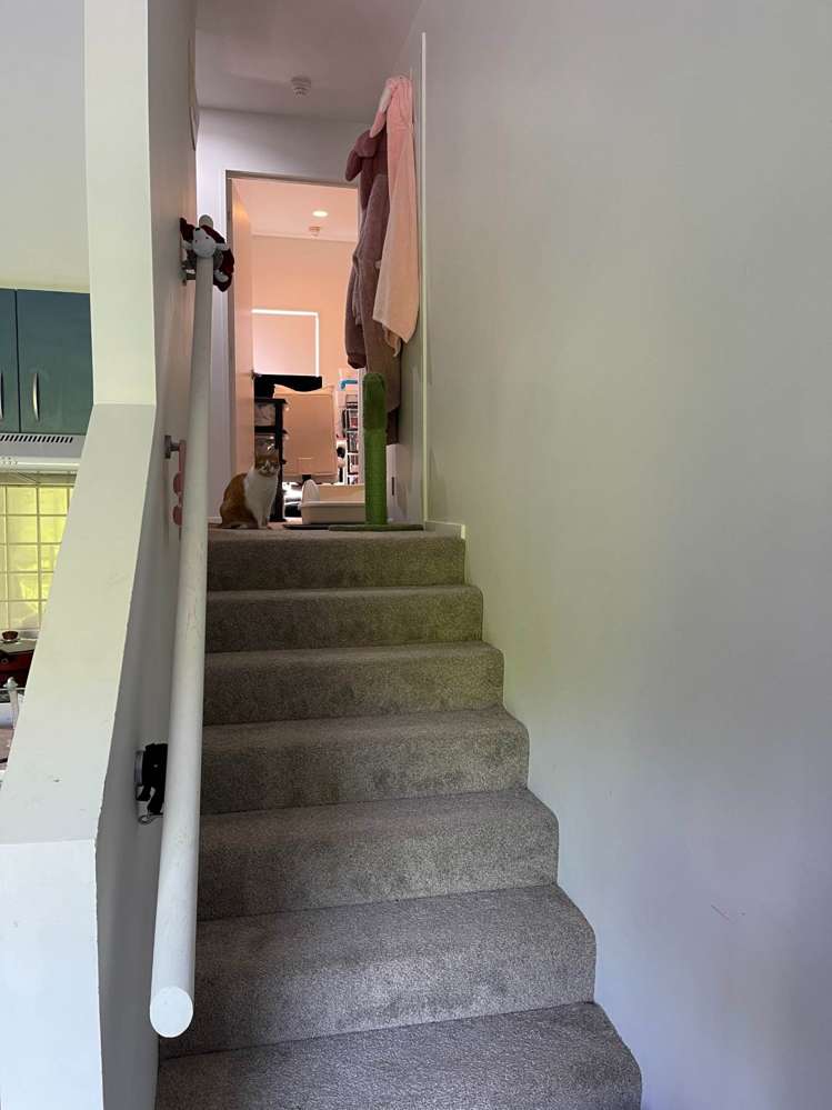 404/20 Upper Queen Street Auckland Central_3