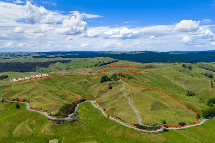 826 Ruakiwi Road Te Akau_7