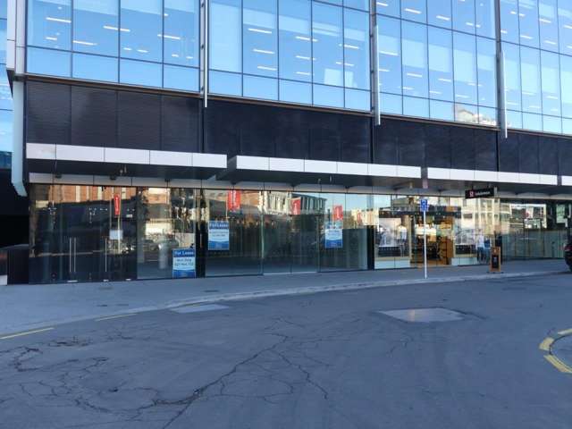 161 Cashel Street City Centre_2