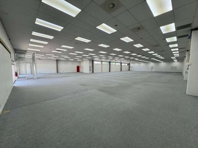 41 Riccarton Road Riccarton_4