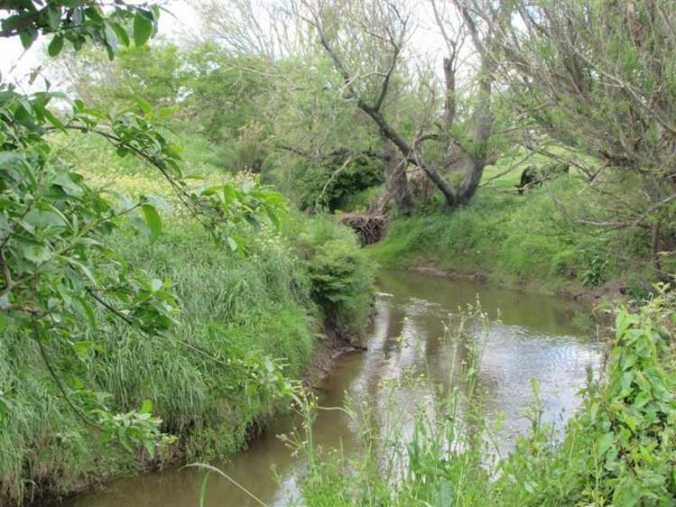 961 Park Road Te Awamutu_13