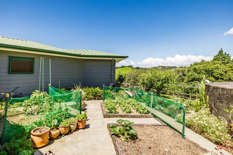 419 Hupara Road Pakaraka_32