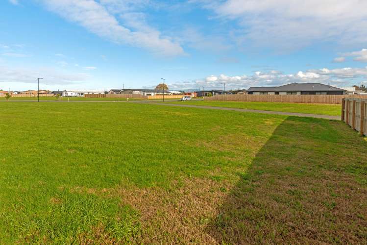 17 Mangamoteo Street Makauri_12