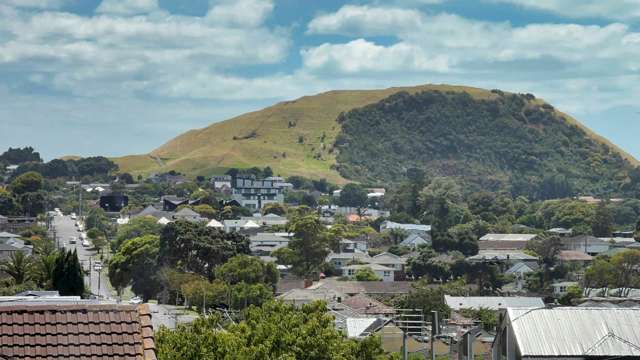 151B Barrack Road Mt Wellington_4