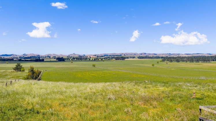 321A Porangahau Road_5