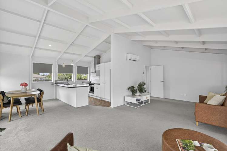 6B Walsh Road Westown_5