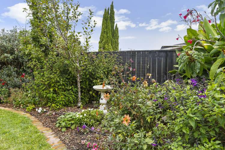 34 Murdoch Road Grey Lynn_18