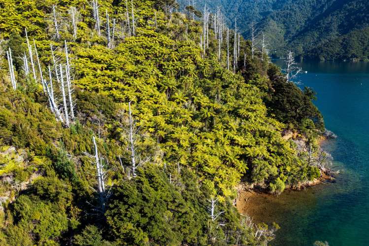 Lot 2 North West Bay Pelorus Sound_4